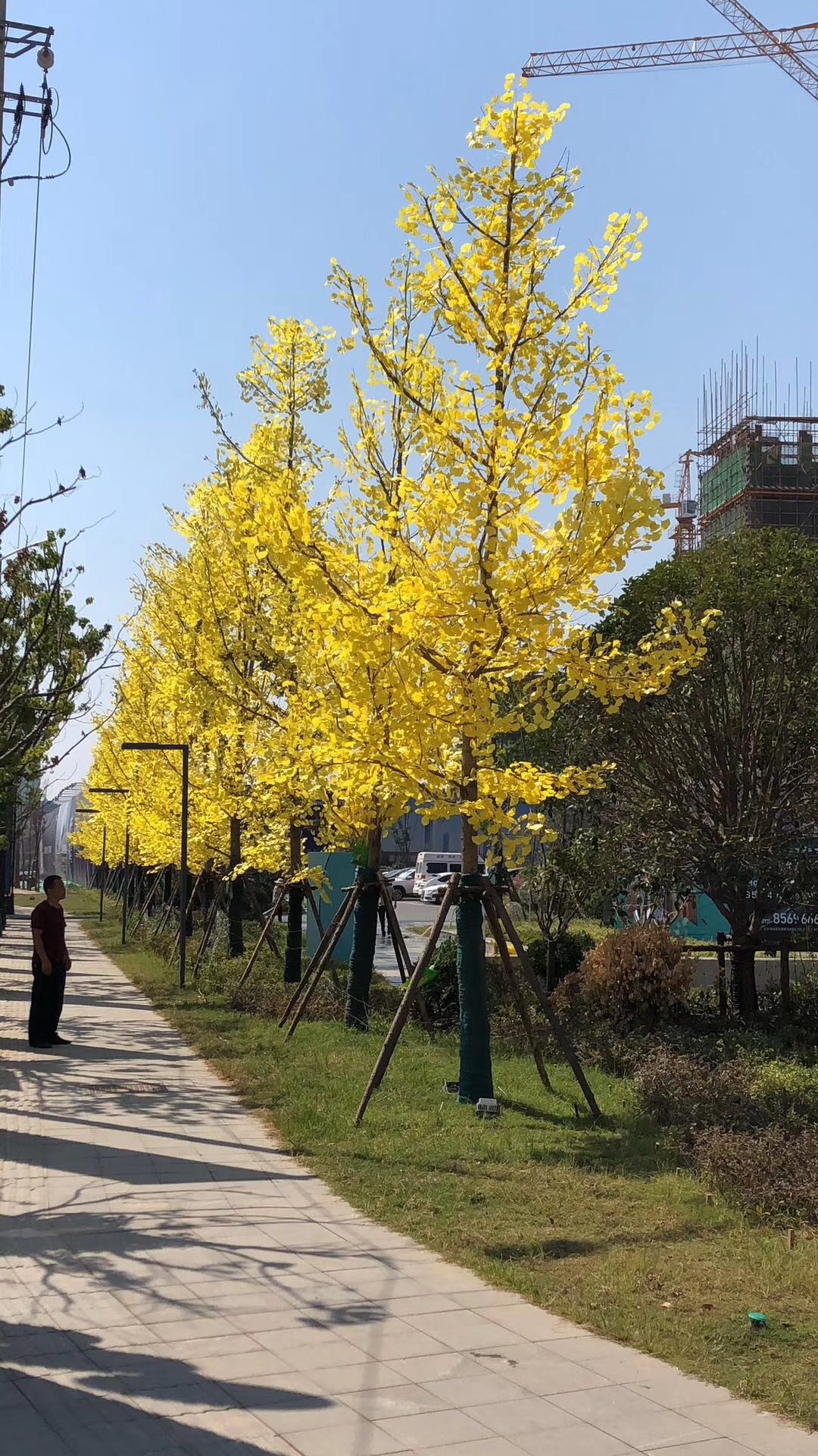 微信图片_20251114190603.jpg